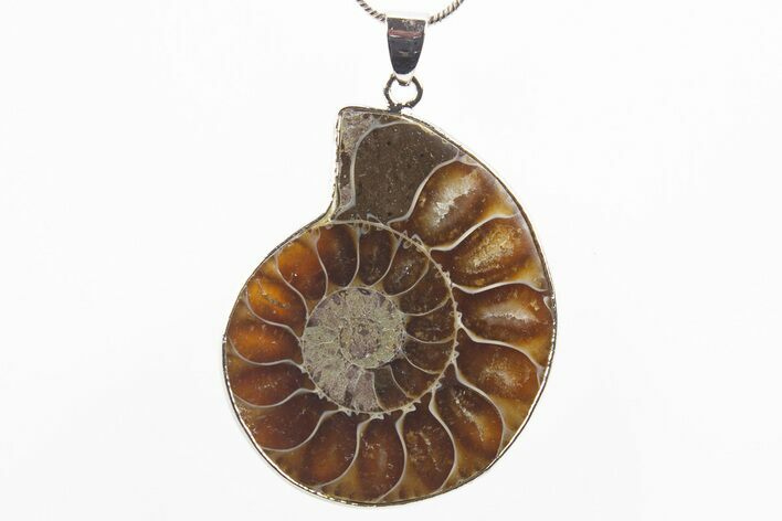 Fossil Ammonite Pendant - Million Years Old #306403